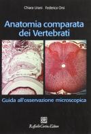 Anatomia comparata dei vertebrati. Guida all'osservazione microscopica di Chiara Urani, Federica Orsi edito da Raffaello Cortina Editore