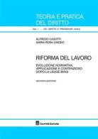 Riforma del lavoro. Evoluzione normativa, applicazione e contenzioso dopo la legge Biagi di Alfredo Casotti, M. Rosa Gheido edito da Giuffrè