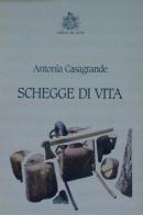 Schegge di vita di Antonia Casagrande edito da Edizioni del Leone