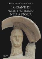 I giganti di «Mont'e Prama» nella storia di Francesco Cesare Casùla edito da Carlo Delfino Editore