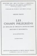 I campi Flegrei. Ediz. francese di Amedeo Maiuri edito da Ist. Poligrafico dello Stato