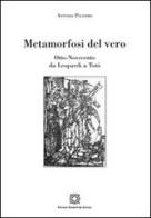 Metamorfosi del vero. Otto-Novecento di Antonio Palermo edito da Edizioni Scientifiche Italiane