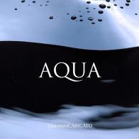 Aqua. Ediz. italiana e inglese di Vincenzo Caricato edito da Autopubblicato
