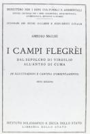 I campi Flegrei. Ediz. tedesca di Amedeo Maiuri edito da Ist. Poligrafico dello Stato