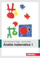 Analisi matematica 1 di Carlo D. Pagani, Sandro Salsa edito da Zanichelli