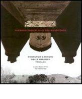 Paesaggi industriali del Novecento. Siderurgia e miniere nella Maremma toscana di Fernand Bay edito da Polistampa