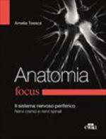 Focus Anatomia. Il sistema nervoso periferico di Claudio Sette, Amelia Toesca edito da Edra