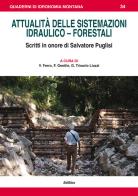 Attualità delle sistemazioni idraulico-forestali. Scritti in onore di Salvatore Puglisi edito da Edibios