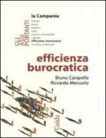 Efficienza burocratica di Bruno Carapella, Riccardo Mercurio edito da Guida