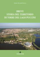 Breve storia del territorio di Torre del Lago Puccini di Quinto Riccardo Bertini edito da Pezzini