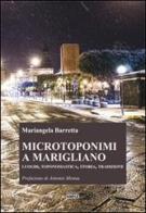 Microtoponimi a Marigliano. Luoghi, toponomastica, storia, tradizione di Mariangela Barretta edito da Simple