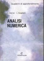 Analisi numerica. Quaderno di approfondimento. Per le Scuole superiori di Giuseppe Zwirner, Luciano Scaglianti edito da CEDAM