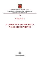 Il principio di efficienza nel diritto privato di Matteo Boselli edito da Edizioni Scientifiche Italiane