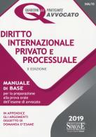 Diritto internazionale privato e processuale. Manuale di base per la preparazione alla prova orale per l'esame di avvocato edito da Edizioni Giuridiche Simone