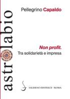 Non profit. Tra solidarietà e impresa di Pellegrino Capaldo edito da Salerno Editrice