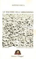 Le macerie dell'abbandono di Alfonso Vocca edito da Edizioni Il Saggio