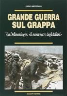 Grande guerra sul Grappa. Von Dellmensingen: il monte sacro degli italiani di Carlo Meregalli edito da Tassotti