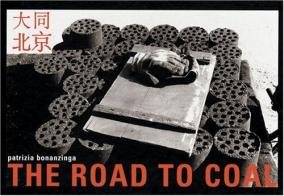 Patrizia Bonanzinga. The road to coal-La via del carbone. Ediz. italiana, inglese, francese e cinese edito da Hopefulmonster