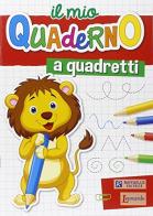 Il mio quaderno a quadretti. Per la Scuola materna edito da Raffaello