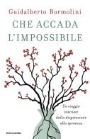 Che accada l'impossibile. Un viaggio interiore dalla disperazione alla speranza di Guidalberto Bormolini edito da Mondadori