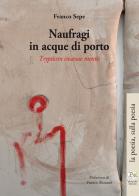 Naufragi in acque di porto. Trypticon insanae mentis di Franco Sepe edito da Plumelia Edizioni