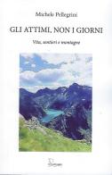Gli attimi, non i giorni. Vita, sentieri e montagne di Michele Pellegrini edito da Le Piccole Pagine
