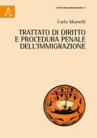 Trattato di diritto e procedura penale dell'immigrazione di Carlo Morselli edito da Aracne