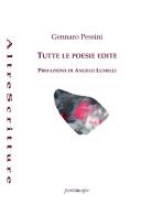 Tutte le poesie di Gennaro Pessini edito da Puntoacapo