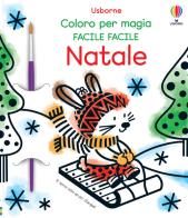 Natale. Con pennello di Matthew Oldham edito da Usborne