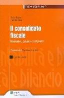 Il consolidato fiscale. Normativa, prassi e casi pratici di Enzo Rocca, Fabrizio Scala edito da Ipsoa