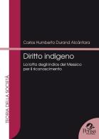 Diritto indigeno. La lotta degli Indios del Messico per il riconoscimento di Carlos H. Durand Alcántara edito da Pensa Multimedia