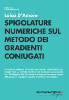 Spigolature numeriche sul metodo dei gradienti coniugati di Luisa D'Amore edito da libreriauniversitaria.it
