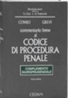Commentario breve al codice di procedura penale. Complemento giurisprudenziale edito da CEDAM