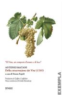 Della conservazione dei vini (1765). Ediz. integrale di Antonio Matani edito da Settegiorni Editore