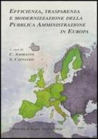 Efficienza, trasparenza e modernizzazione della pubblica amministrazione in Europa edito da Università La Sapienza