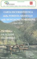 Carta escursionistica della Foresta modello delle montagne fiorentine. Falterona, Val di Sieve, Vallombrosa 1:50.000 edito da Global Map