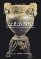 Trebenishte. The Fortunes of an Unusual Excavation di Conrad M. Stibbe edito da L'Erma di Bretschneider