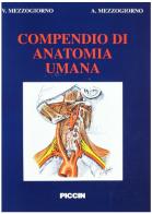 Compendio di anatomia umana di Vittorio Mezzogiorno, Antonio Mezzogiorno edito da Piccin-Nuova Libraria