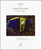 Acqua di Colle di Val d'Elsa. Percorsi e memoria di Roberto Viciani, Curzio Bastianoni, Claudio Leonzio edito da NIE