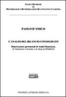 L' analisi del bilancio consolidato di Paolo D'Amico edito da Simple