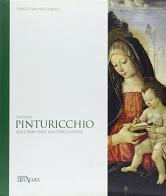 Studi sul Pinturicchio. Dalle prime prove alla Cappella Sistina di Franco I. Nucciarelli edito da Era Nuova