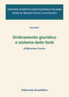 Trattato di diritto costituzionale italiano vol.1 di Massimo Cavino edito da Editoriale Scientifica