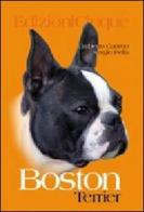Boston Terrier di Umberto Cuomo, Sergio Pella edito da Edizioni Cinque