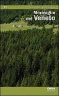 Meraviglie del Veneto vol.11 edito da CARSA
