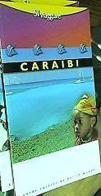 Caraibi di Jean-Pierre Chanial edito da BeMa