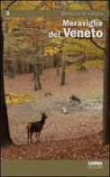 Meraviglie del Veneto vol.5 edito da CARSA