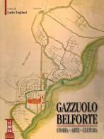 Gazzuolo Belforte. Storia, arte, cultura edito da Sometti