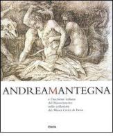 Andrea Mantegna e l'incisione italiana del Rinascimento nelle collezioni dei musei civici di Pavia edito da Mondadori Electa