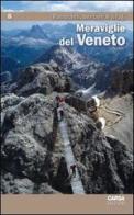 Meraviglie del Veneto vol.8 edito da CARSA