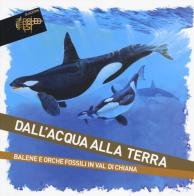 Dall'acqua alla terra. Balene e orche fossili in Val di Chiana edito da SeB Editori